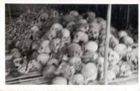 Bone38