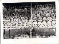 Bone41