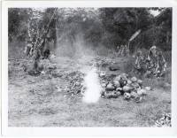 Massgrave11