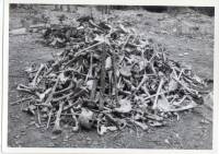 Massgrave13
