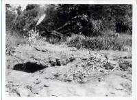 Massgrave14
