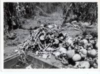 Massgrave15