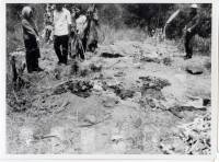 Massgrave16