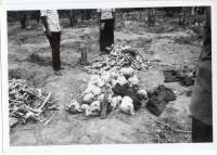 Massgrave19