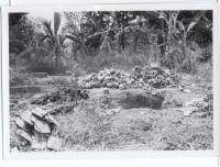 Massgrave2