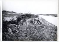 Massgrave30
