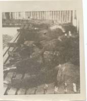 Massgrave33 