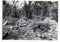 Massgrave34
