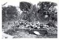 Massgrave35