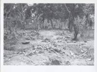 Massgrave37