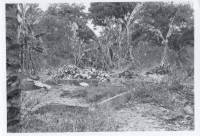 Massgrave38
