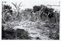 Massgrave39