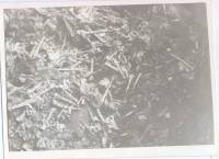 Massgrave40