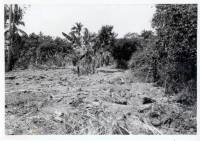 Massgrave43