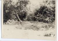 Massgrave45