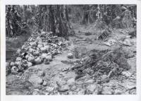 Massgrave47