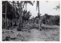 Massgrave49