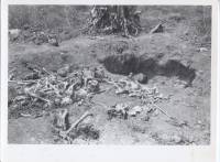 Massgrave5