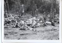 Massgrave53