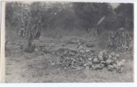 Massgrave6