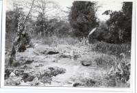 Massgrave8