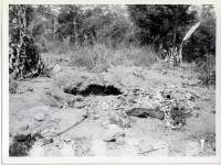 Massgrave9