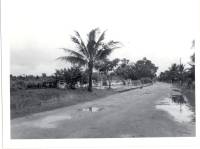 Takeo36