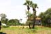 IMG_6678